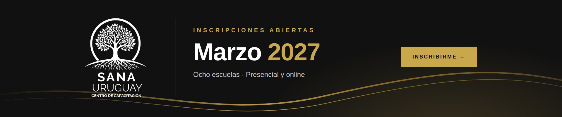 Inscripciones abiertas, inicio marzo 2027. Inscribite online.